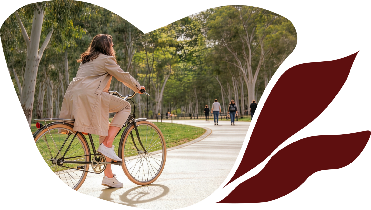 A woman cycling along a tree-lined path through Woodland Walk.